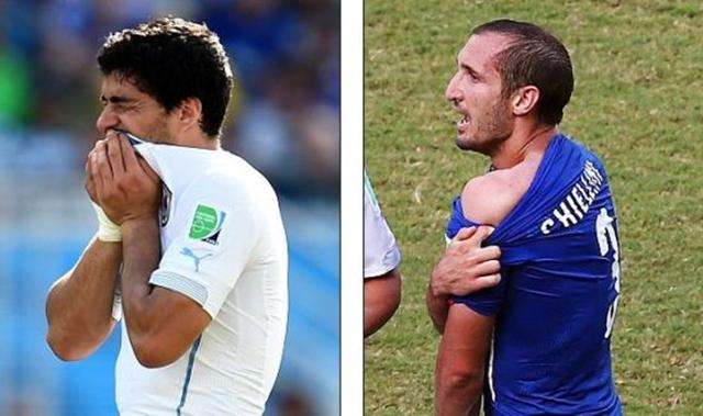 各大豪门都 各大豪门都